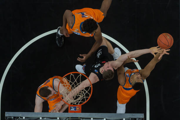 不仅展示了 不仅展示了